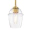 Designers Fountain Summer Jazz 60 Watt 1-Light Brushed Gold Transitional Pendant Light with Clear Glass Shade D310M-5P-BG - alternate 4